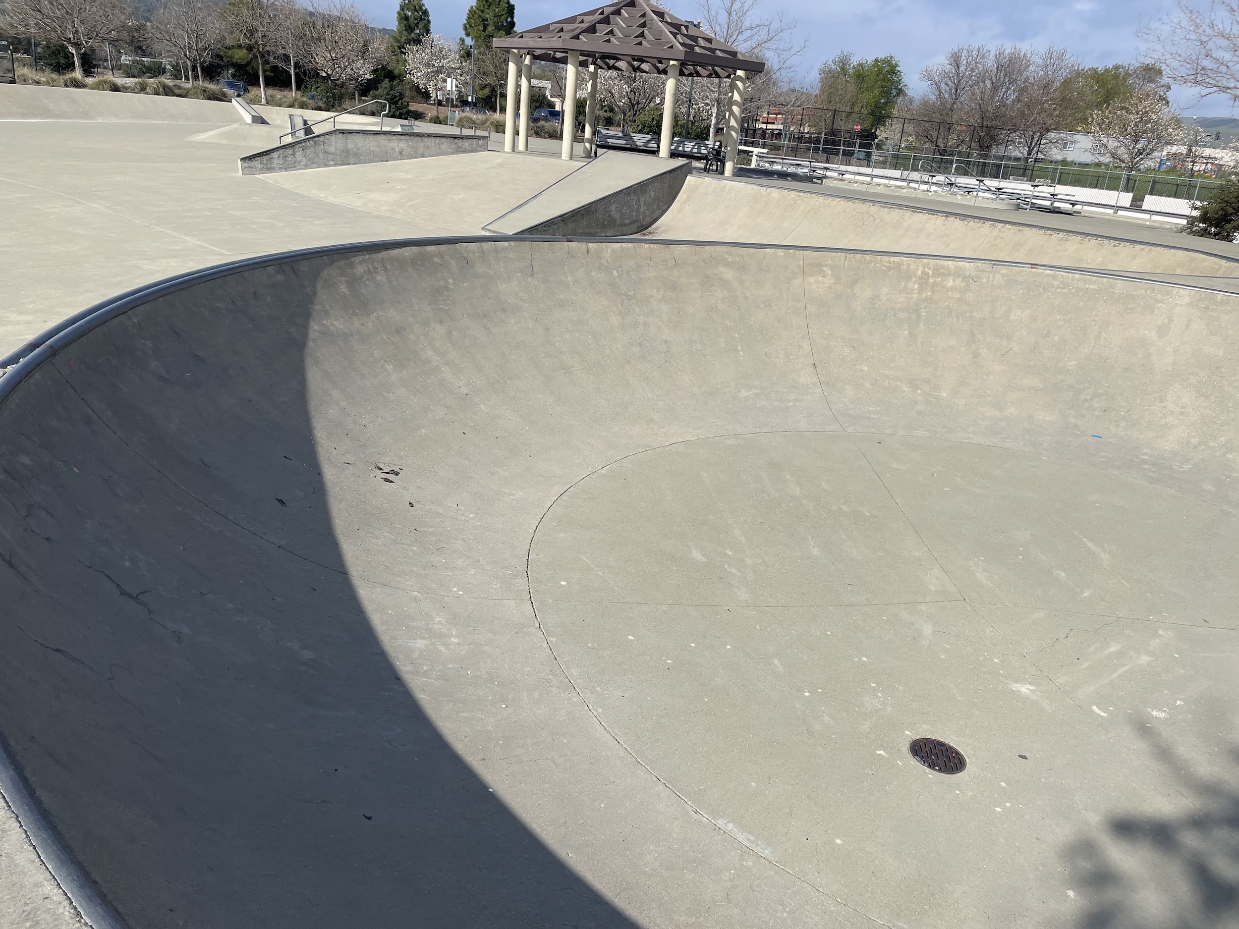 Pleasanton skatepark